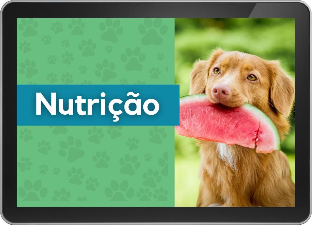 Nutrição