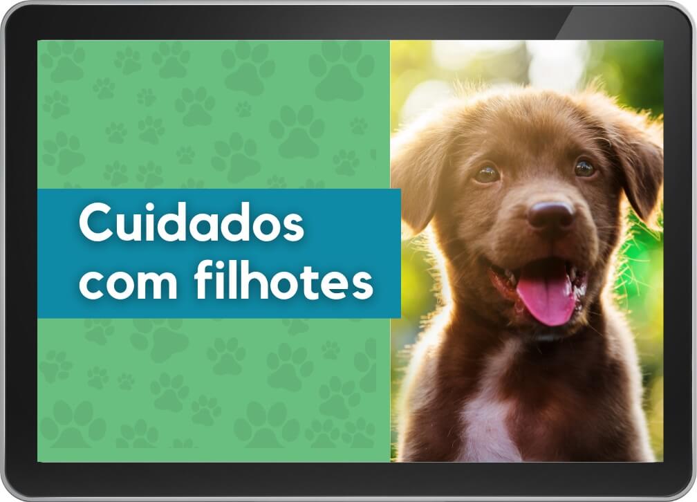 Cuidados com filhotes