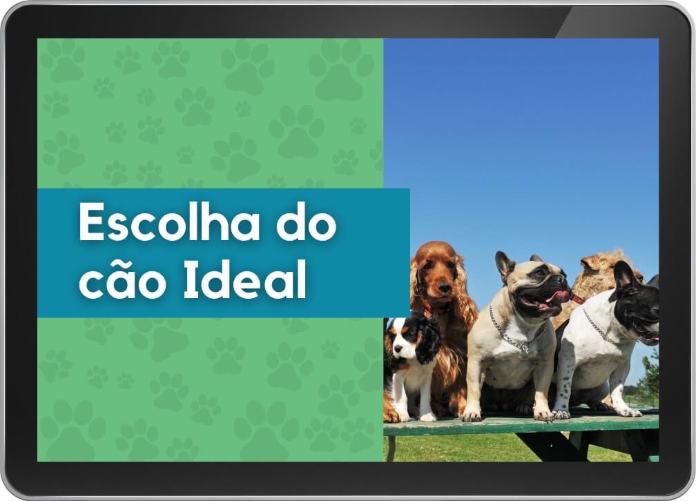 Escolha do Cão Ideal