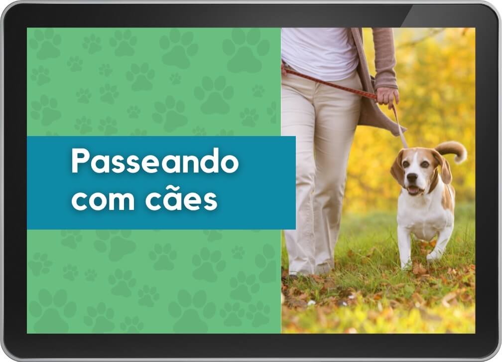 Passeando com cães