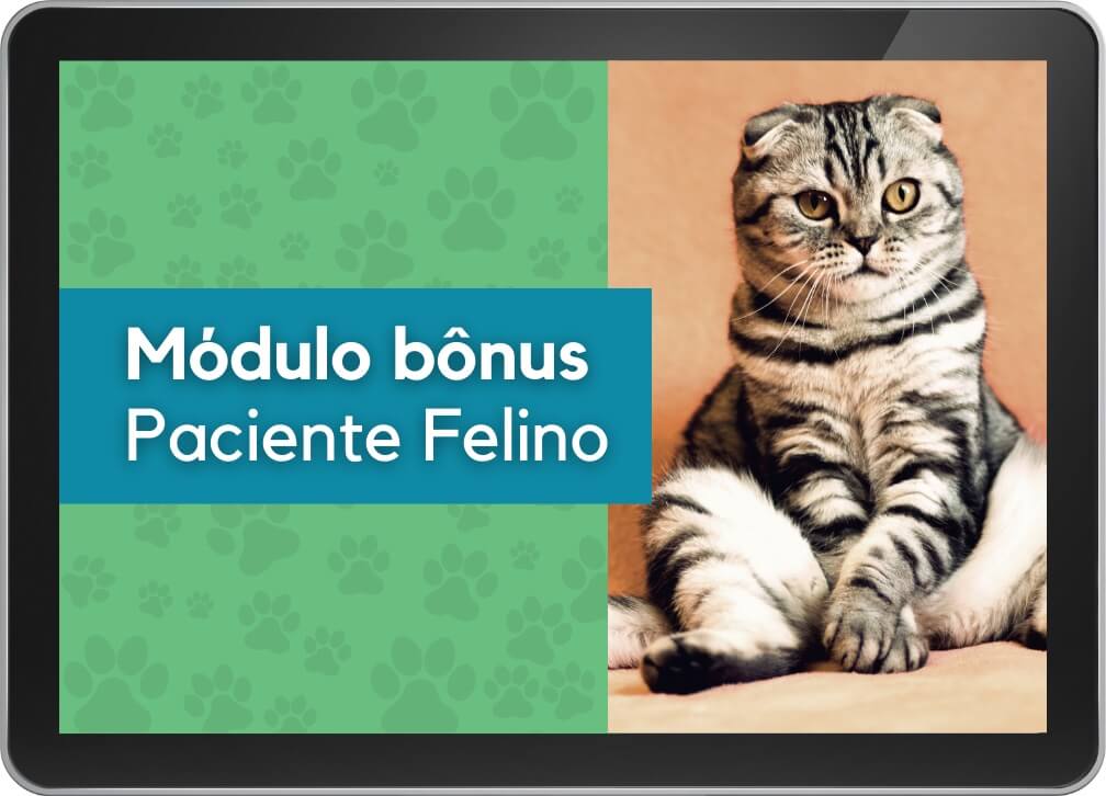 Módulo bônus: Paciente Felino