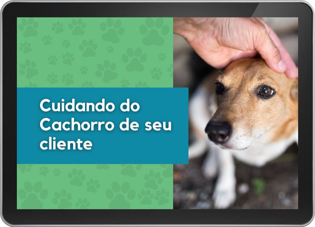 Cuidando do cachorro de seu cliente