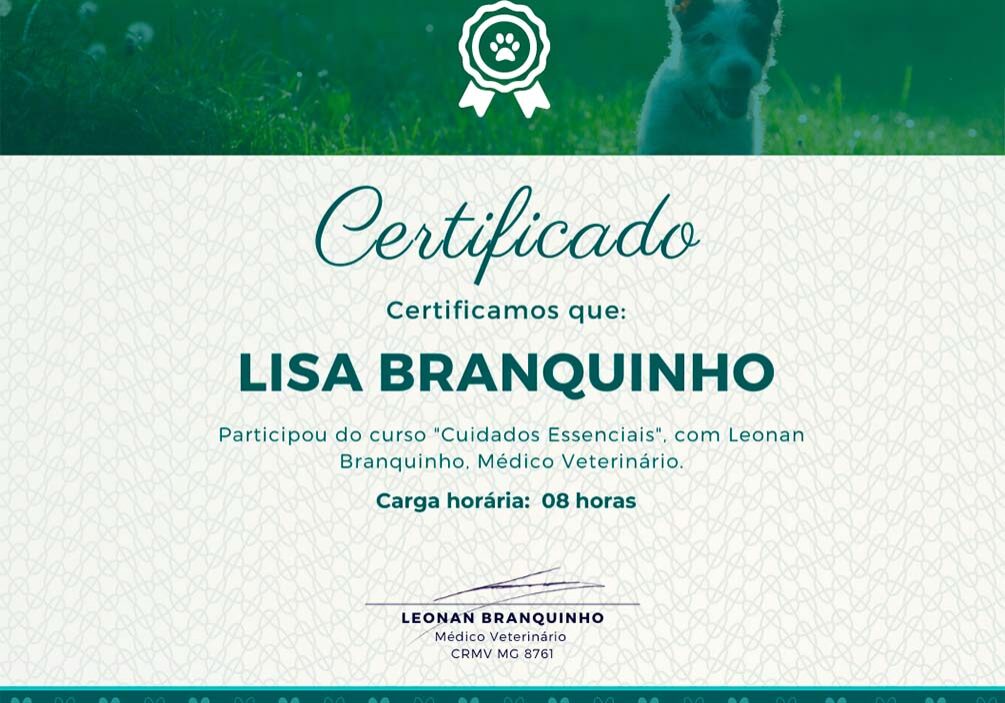 Certificado - Cuidados essenciais - foto para página